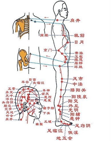 中医学中的经络