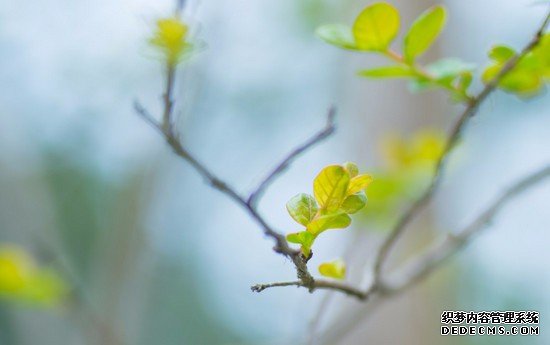 重庆市医药科技学校招生录取分数线